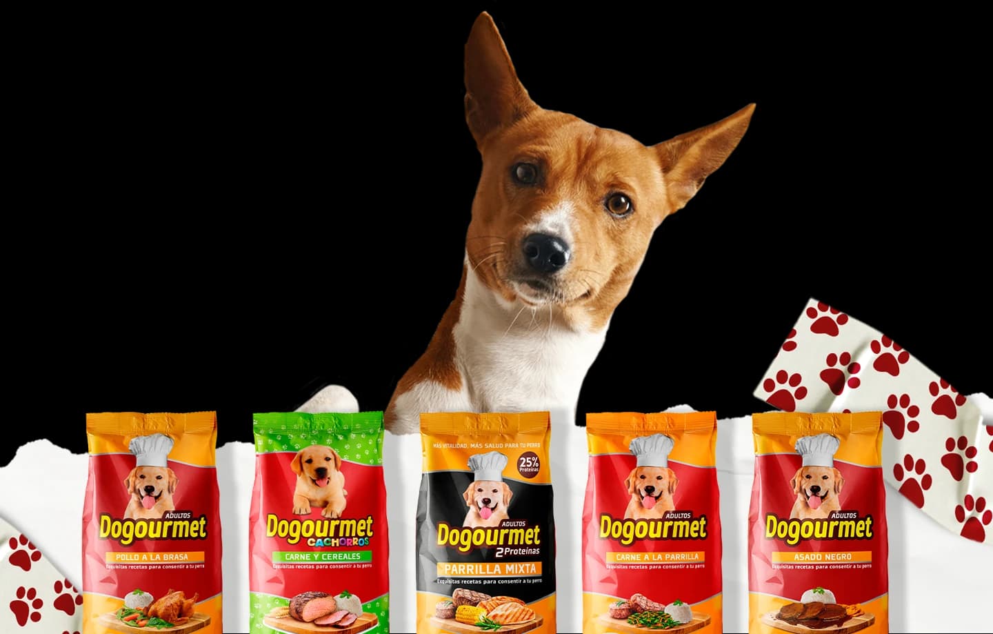Dogourmet