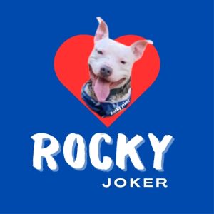 ROCKY JOKER