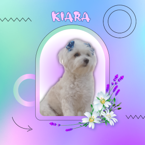 Kiara